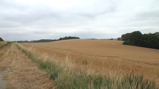 Großes Feld