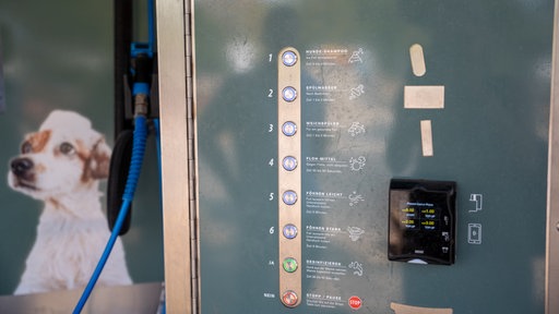 Per Knopfdruck kann man an der Hundewaschanlage Shampoo, Spülen, Weichspüler und weitere Optionen auswählen, bezahlen kann man mit der Karte.