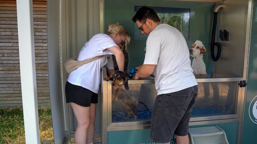 Dackel Dobby steht auf seinen Hinterpfoten in der Wanne der Hundewaschalange, sein Frauchen und sein Herrchen duschen ihn.