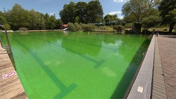 Totale von dem Naturfreibad in Mettmann