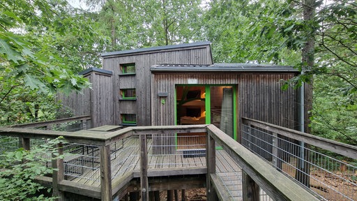 Ein Baumhaus aus Holz mit erleuchtetem Schlafzimmer.
