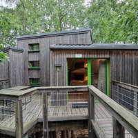 Ein Baumhaus aus Holz mit erleuchtetem Schlafzimmer.