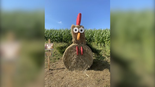 Heuballen und Dekoteile wurden zu einem Huhn zusammengestellt 