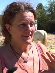 Frau steht im Freien hinter ihr wird ein Pferd longiert