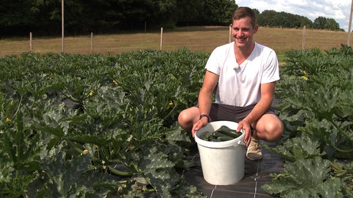 Marc Berger erntet fast täglich mehrere hundert Kilo Zucchinis für die Tafeln und Speisekammern