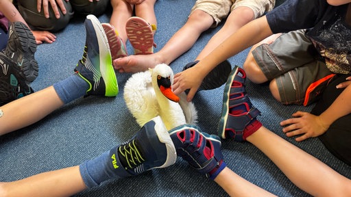 Kinderfüße kommen im Kreis zusammen, in der Mitte sitzt ein Stofftierschwan