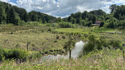 Eine Auenlandschaft, im Vordergrund der Murbach, daneben Wiesen und Bäume