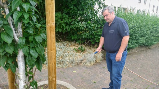 Mann in blauem T-Shirt bewässert einen Baum