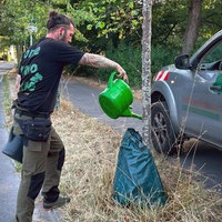 Moritz Buchmüller vom Baumpflegebetrieb „Die Baumhirten“ gießt einen jungen Baum