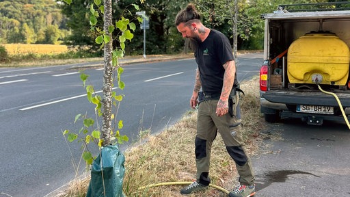 Moritz Buchmüller vom Baumpflegebetrieb „Die Baumhirten“ begutachtet einen jungen Baum