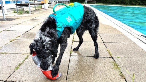 Paul trägt Schwimmweste, weil er ein schlechter Schwimmer ist.