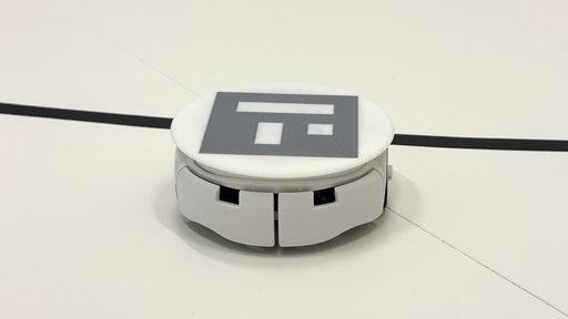 Einzelner Roboter der Stausimulation