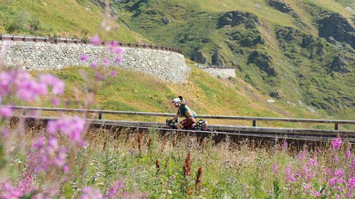 Ein Fahrradfahrer fährt einen Alpenpass hinauf