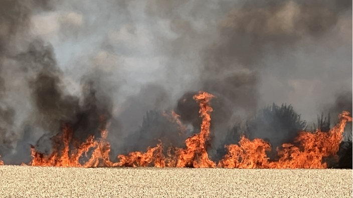 Feuer auf einem Feld 
