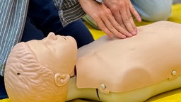 Hände üben Herzdruckmassage an einer Dummy-Puppe.