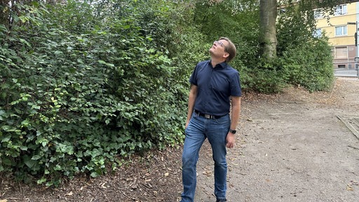 Mann steht mit blauer Jeanshose und dunkel blauem Hemd auf einem Schotterweg, schaut dabei in die Baumkronen über sich