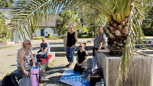 Menschengruppe sitzt unter Palmen