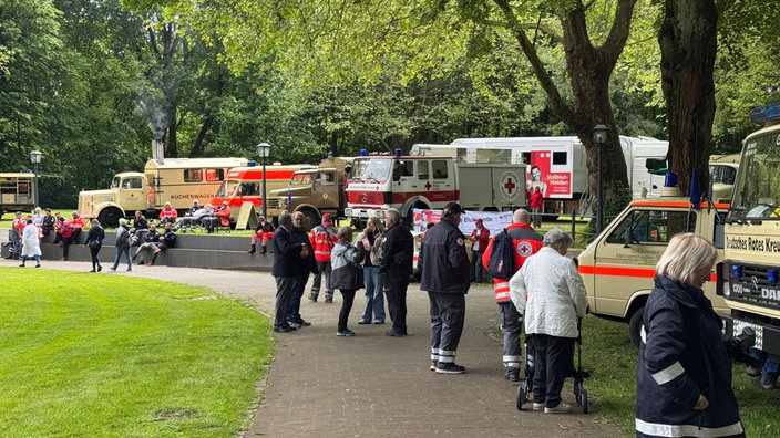 Besucher beim Betrachten alter DRK-Fahrzeuge