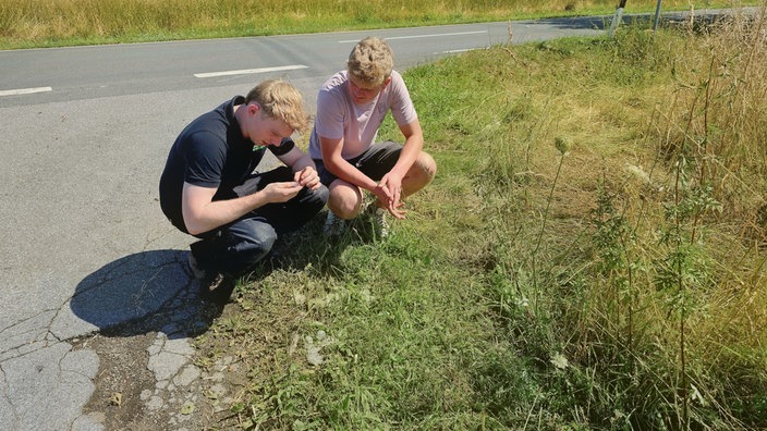 Landwirte schauen sich die Hagelkörner an.