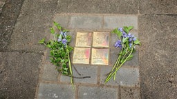 4 Stolpersteine mit Namen der Familie Daltrop
