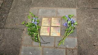 4 Stolpersteine mit Namen der Familie Daltrop