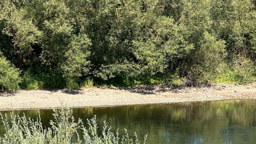 Das Uferbett der Weser liegt in Varenholz/Kalletal frei.