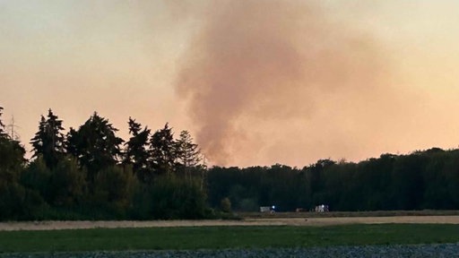Eine Rauchwolke steigt hinter Bäumen empor