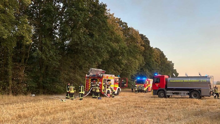 Die Bornheimer Feuerwehr rückt in die Nähe eines Waldes aus