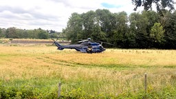 Hubschrauber "Puma" ist auf einem Feld gelandet