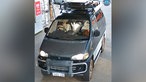 Bilder von ihrer Reise