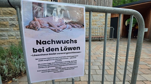 Ein Plakat mit dem Foto einer liegenden Löwin vorm Dortmunder Löwenhaus, darunter steht "Löwenhaus bleibt vorerst geschlossen".