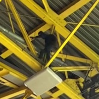 Stadionkletterer unterm Dach vom Dortmunder Stadion