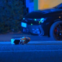 Ein Schuh liegt auf einer Fahrbahn.