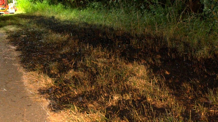 Ein Streifen von verbranntem Gras ist zu sehen. Er ist schwarz, ungefähr einen Meter breit und rund 4 bis 5 Meter lang. 
