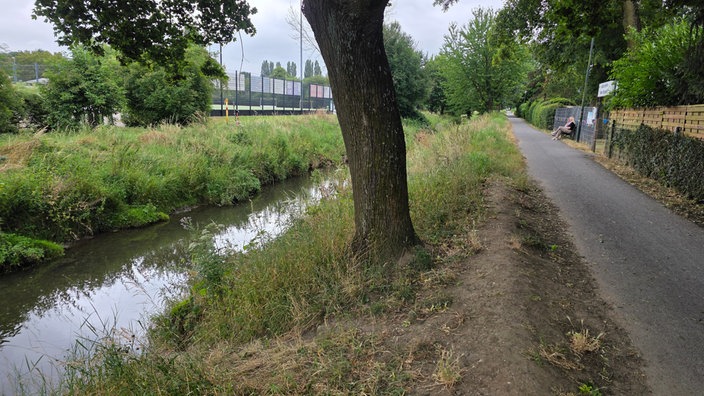 Ein Fluss in seinem Bett, an der Böschung verläuft ein geteerter Weg