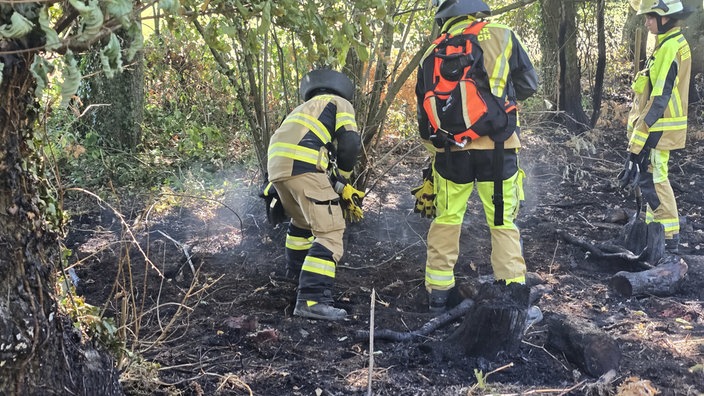 Feuerwehrmänner löschen Glutnester mit einem Löschrucksack.
