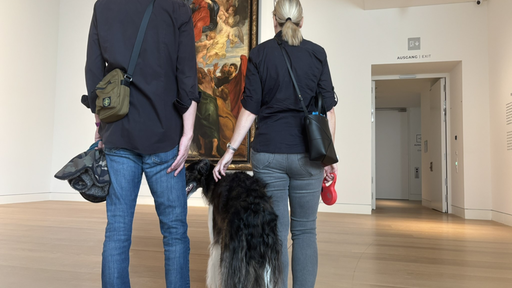 Ein Hund sitzt neben seinem Besitzer im Kunstpalast.