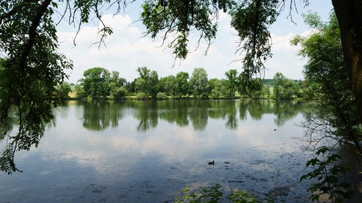 Ein Teich bei Tageslicht, gerahmt von Ästen
