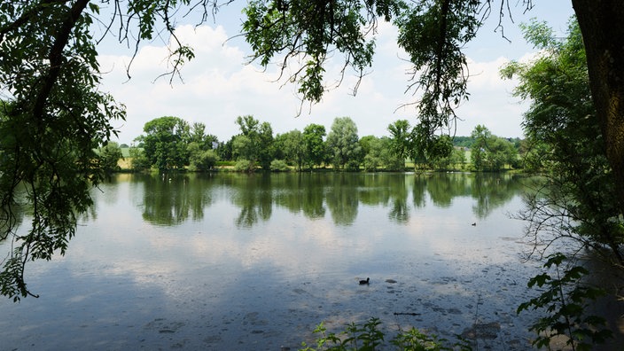Ein Teich bei Tageslicht, gerahmt von Ästen