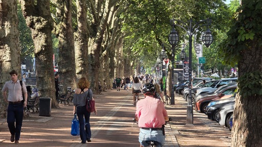 Eine Allee mit Fußgängern und Radfahrern