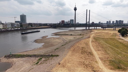 Eine Drohnenaufnahme des Rheins bei extremem Niedrigwasser