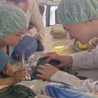 Ein Mädchen und ein Student beugen sich in OP-Klamotten über ein Kuscheltier auf einem Tisch