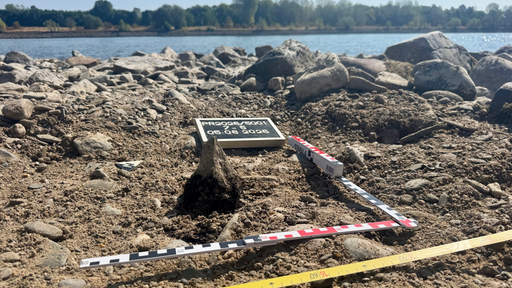 Am Ufer des Rheins liegt die Spitze eines Holzstumpfes. Daneben im Sand ein Zollstock, außerdem eine kleine schwarze quadratförmige Texttafel mit weißen Lettern.