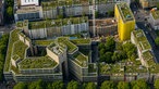 Begrünte Dächer (mit Ki bearbeitet)