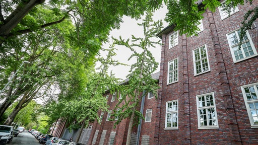JVA in Duisburg-Hamborn mit Baum davor