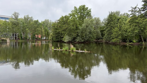 Der leere Weiher