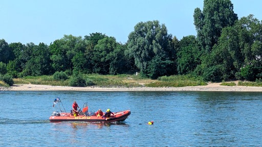 Wasserretter der DLRG ziehen einen Kollegen aus dem Rhein.