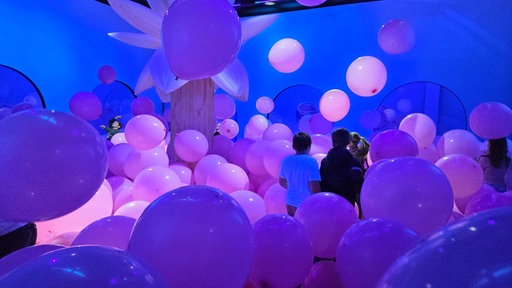 Ein Raum voller Ballons