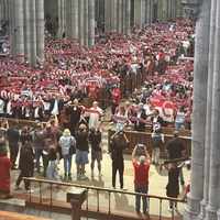 Fans des 1. FC Köln stehen im Kölner Dom und halten ihre rot-weißen Schals in die Luft.