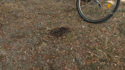 Brandlöcher auf einer vertrockneten Wiese